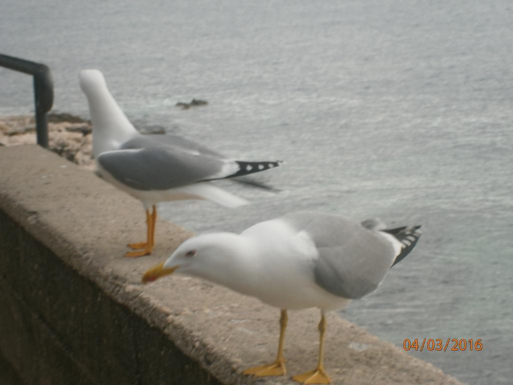 Apartments Sea And Sun Rabac Bagian luar foto